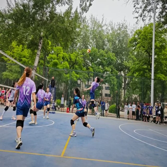 第224组训练备战新闻的深度聚焦与阵容解析 专稿第12223期